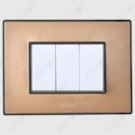 Wega Champange Gold <br>Nixon White Switch