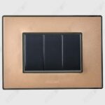 Wega Champange Gold <br>Nixon Titanium Grey Switch