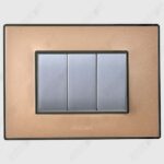 Wega Champange Gold <br>Nixon Silver Switch