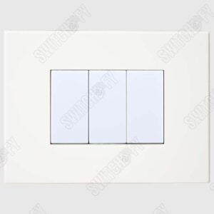 Bella White Jazz with Nixon White