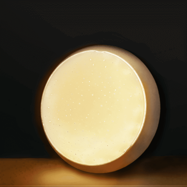 Starlight 20W Modern Round LED Surface Ceiling Light-<b>3in1</b> Textured Starlight Pattern - Image 2